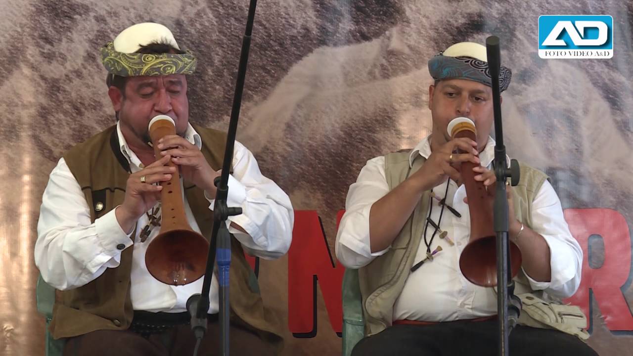 NIBET FEST GRNCARE 2016 - Sefidin Sefa Kryeziu