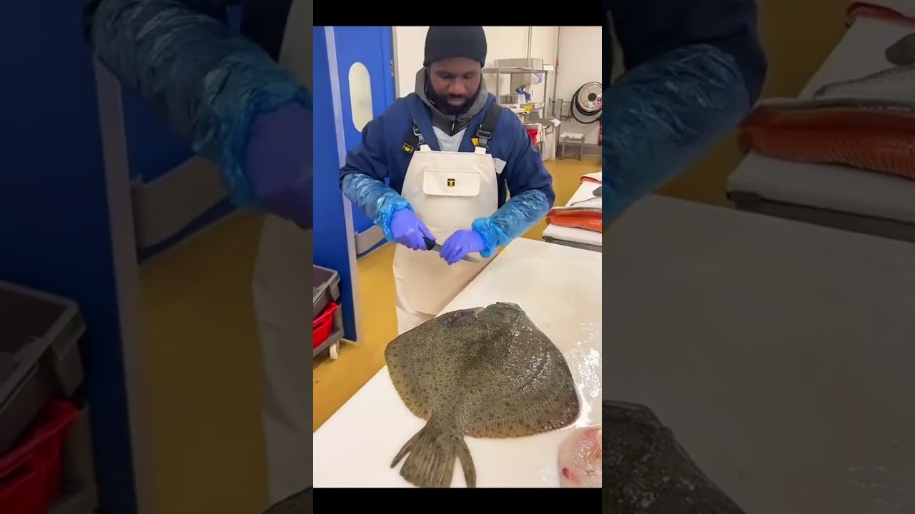 Who shows us how to clean and fillet a MASSIVE Turbot fish. 😳
