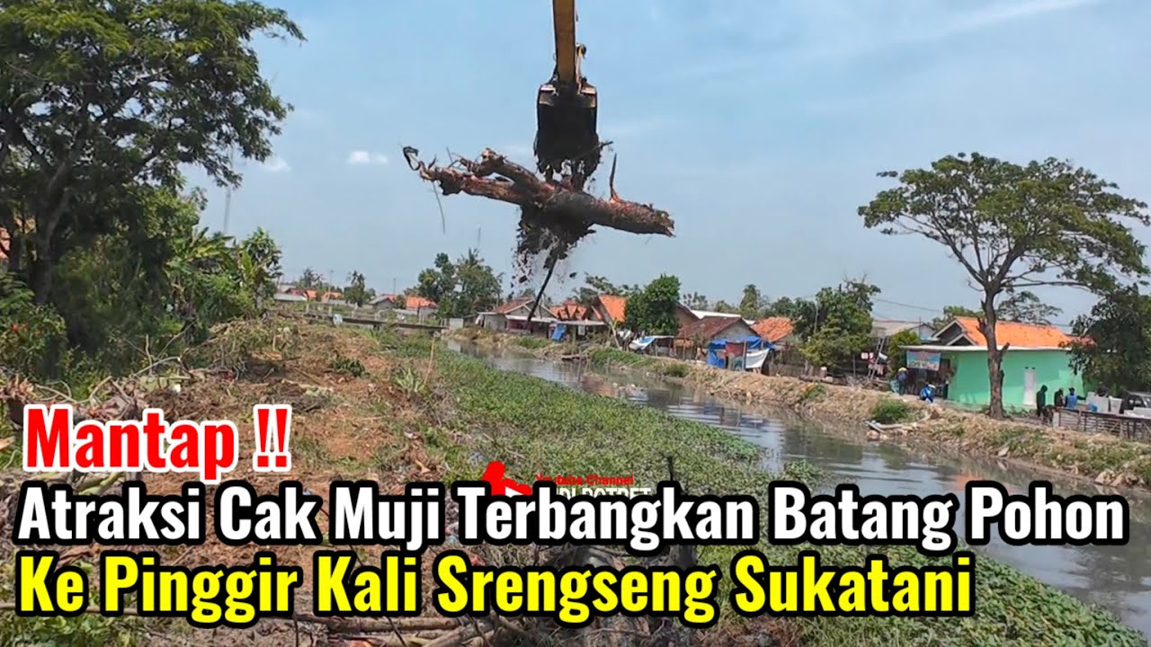 Mantap‼️Atraksi Cak Muji Terbangkan Batang Pohon Besar Ke Pinggir Kali Srengseng Sukatani