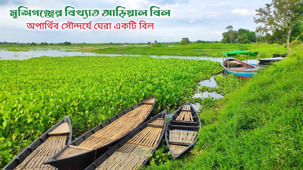 মুন্সিগঞ্জের বিখ্যাত আড়িয়াল বিল। The famous Arial Beel of Munshiganj.