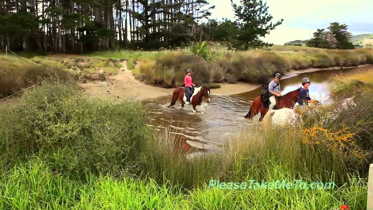 Matakana, Auckland Region, New Zealand - 1080 HD