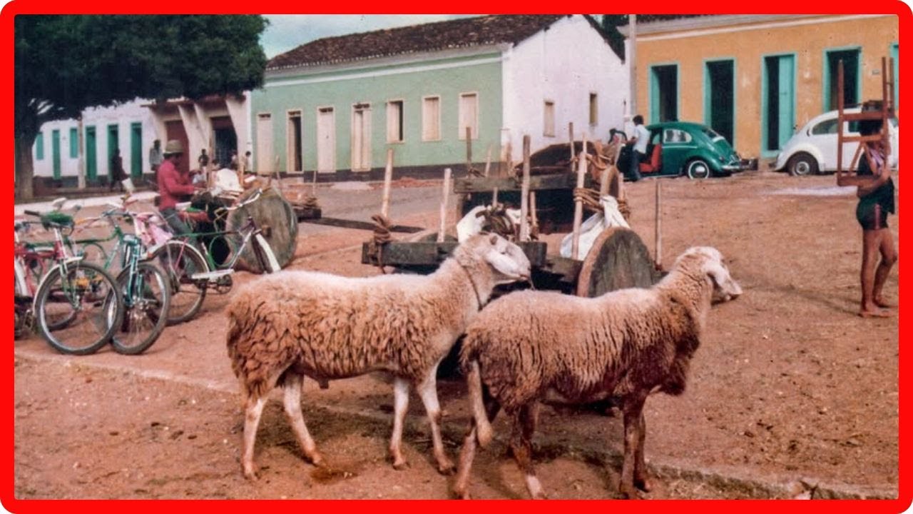 Achamos Essas Fotos Antigas de São Luiz — Ninguém Mostrou Isso Antes!