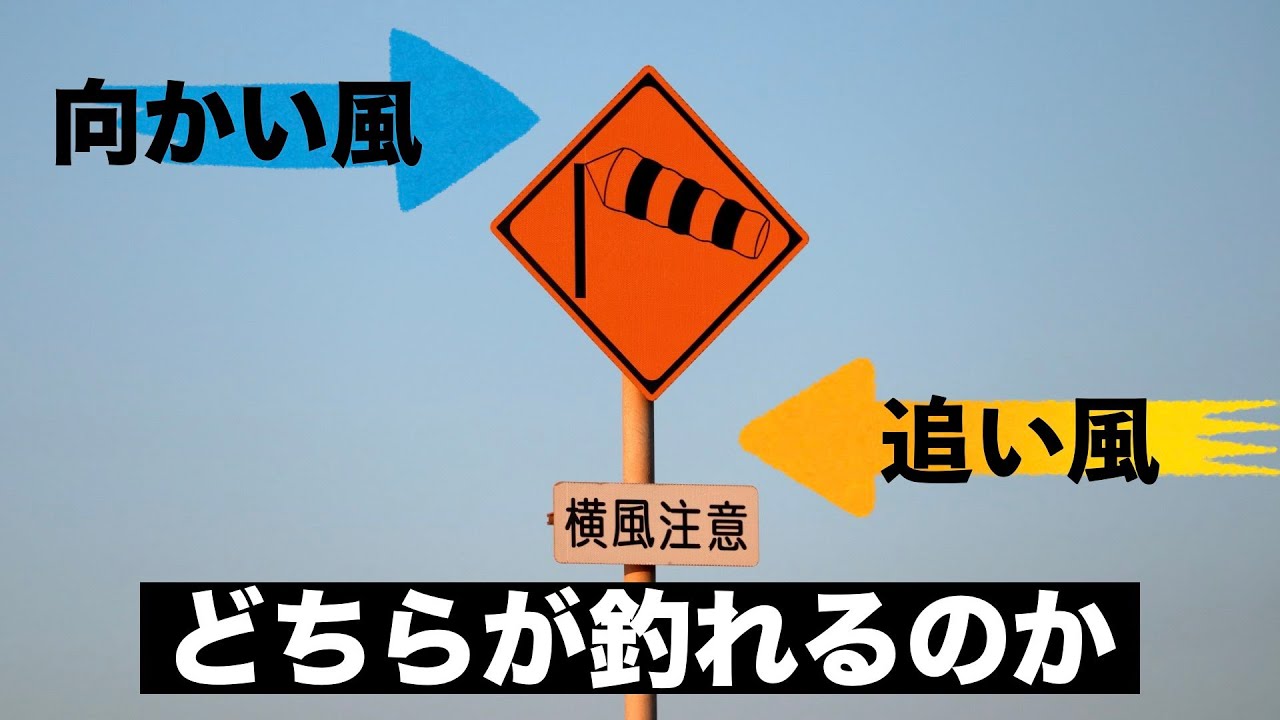 釣りで風が強い場合、追い風と向かい風はどちらが釣れるのか