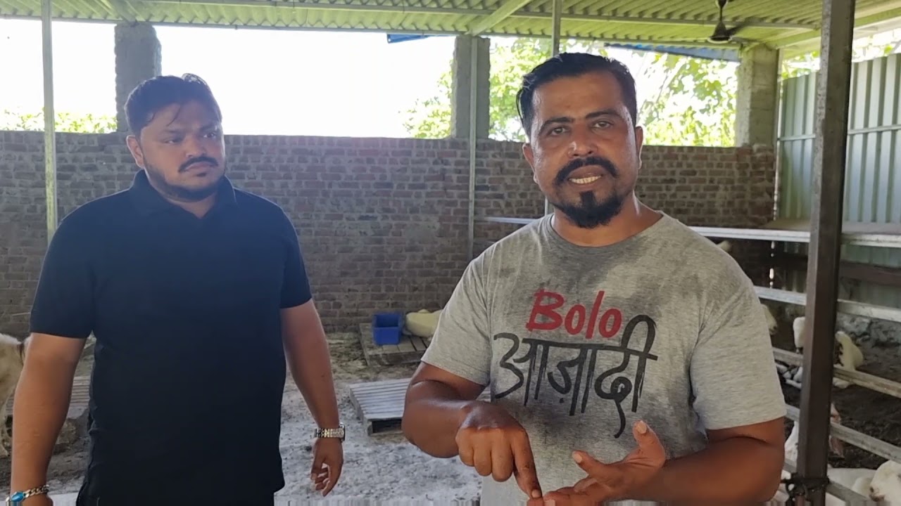 PART 2|RK GOAT FARM FULL TOUR |FRIENDS FOREVER |ARMGOATFARM |MUMBAI |SEEDHI BAAT |IMPORTANT TOPIC |