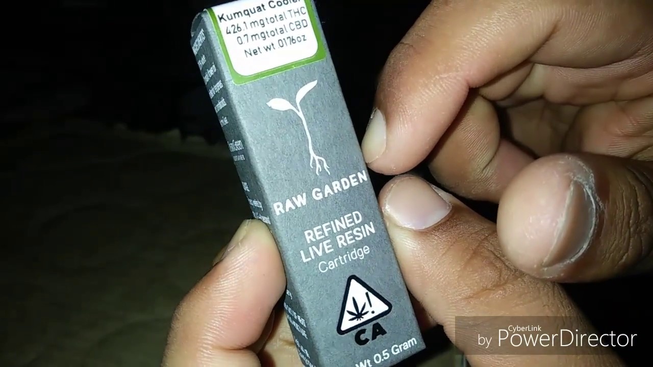Raw Garden Kumquat Cooler Cartridge Review #Rawgarden #weedperkswithskyworks #howsithitting