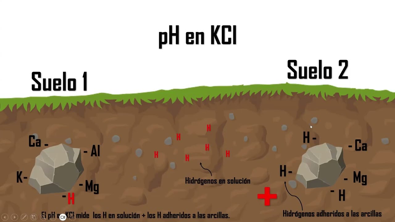Interpretación de análisis de suelo 