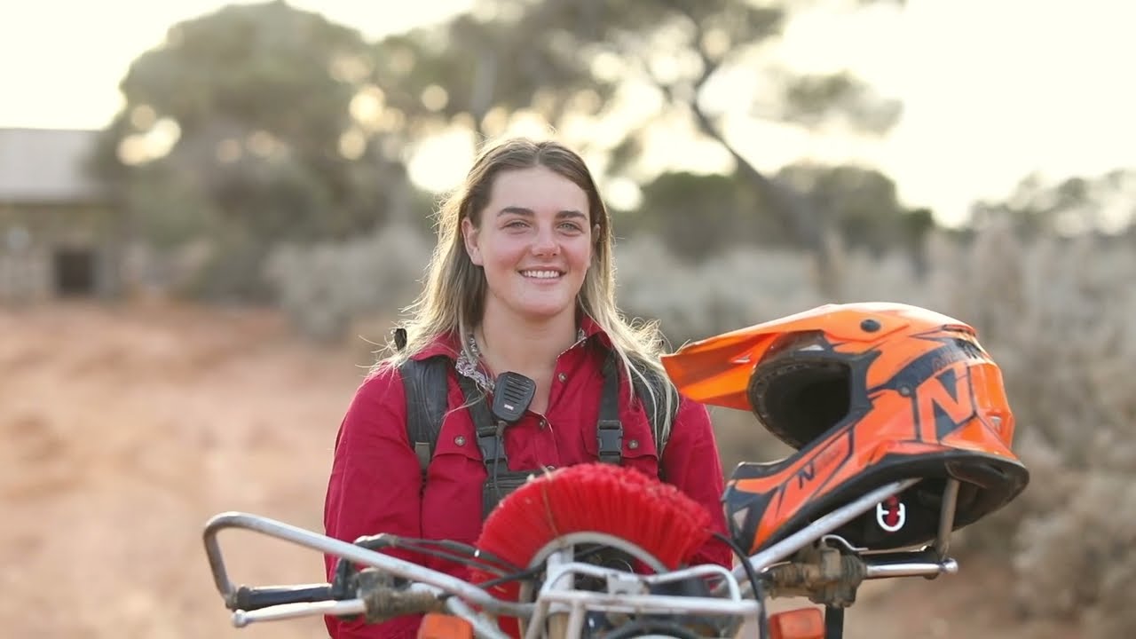 Jumbuck ||  Working at Rawlinna Station, WA