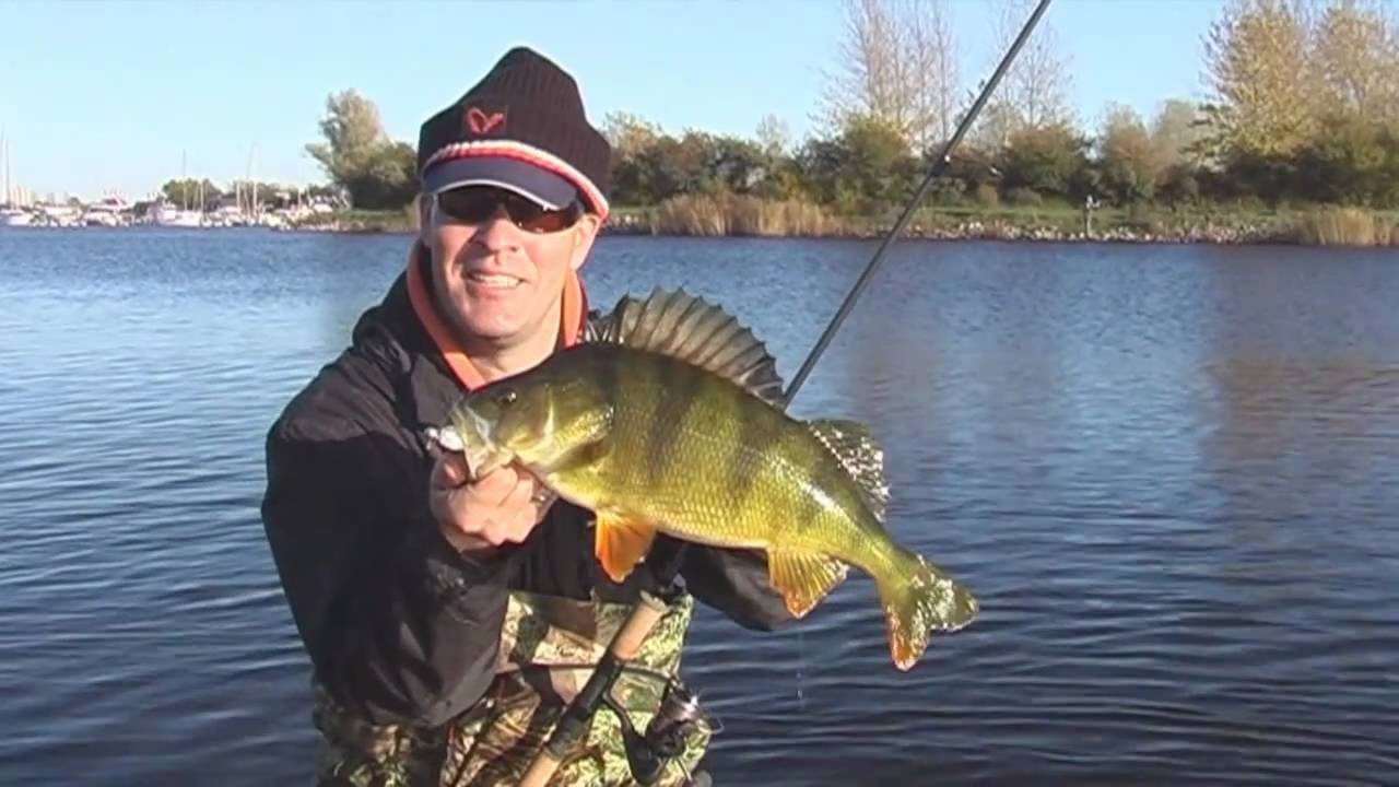 Soft 4Play Perch Instructional Video