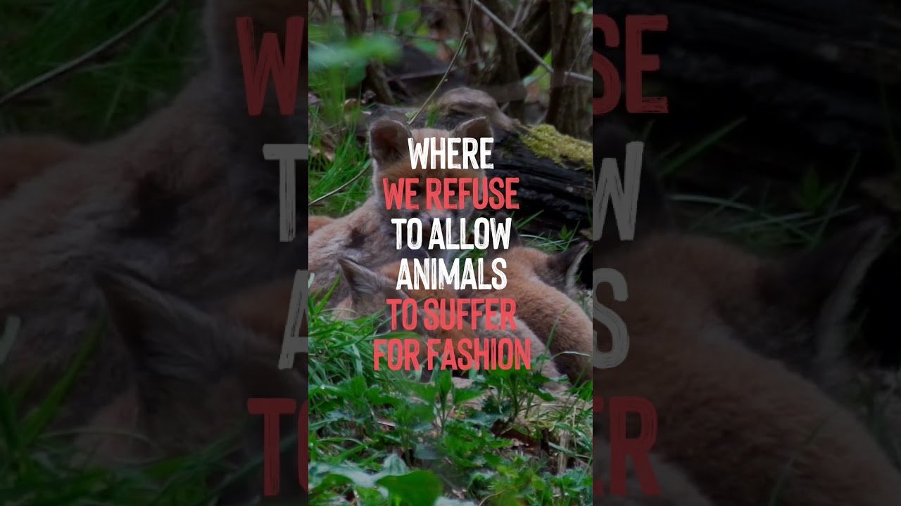 Let&rsquo;s Make 2023 We Abolish Fur Farming & Farmed Fur Products in Europe #FurFreeEurope