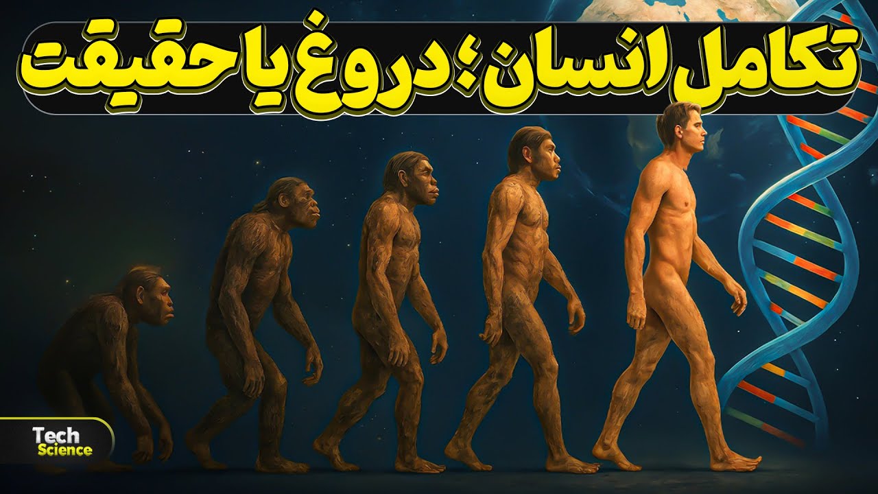 همه چیز درمورد تکامل انسان | مستند کامل