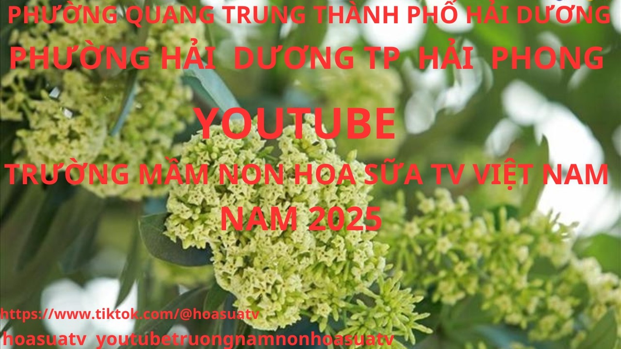 TẬP 5 VIDEO CIIP TRƯỜNG NẦM NON HOA SỮA TV HOẠT ĐỘNG NGOÀI TRỜI TRƯỜNG NĂM ĐỌC 2025 VS 2026 7H 8H
