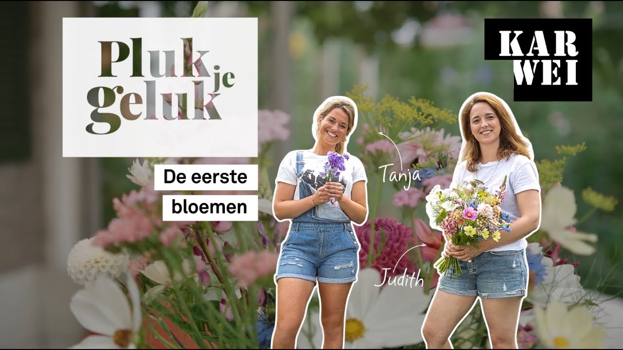 KARWEI | Pluktuin: wat doen in juli & augustus? | Pluk je Geluk