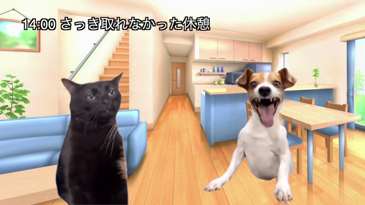 とある駅員の1日　早番編【#猫ミーム】