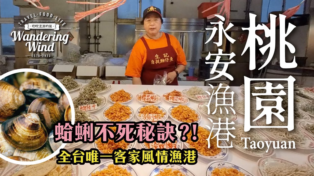 蛤蜊不死的秘訣？永安漁港海鮮拍賣200元驚人巨量吃不完｜全台唯一客家漁港｜新裝修魚市