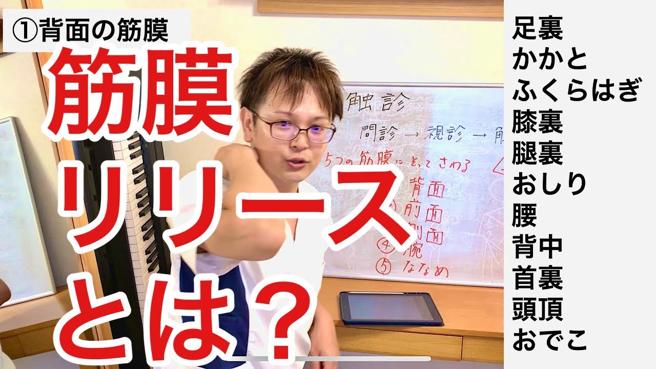 【筋膜リリース】について触診の例を出して15分でわかりやすく解説！