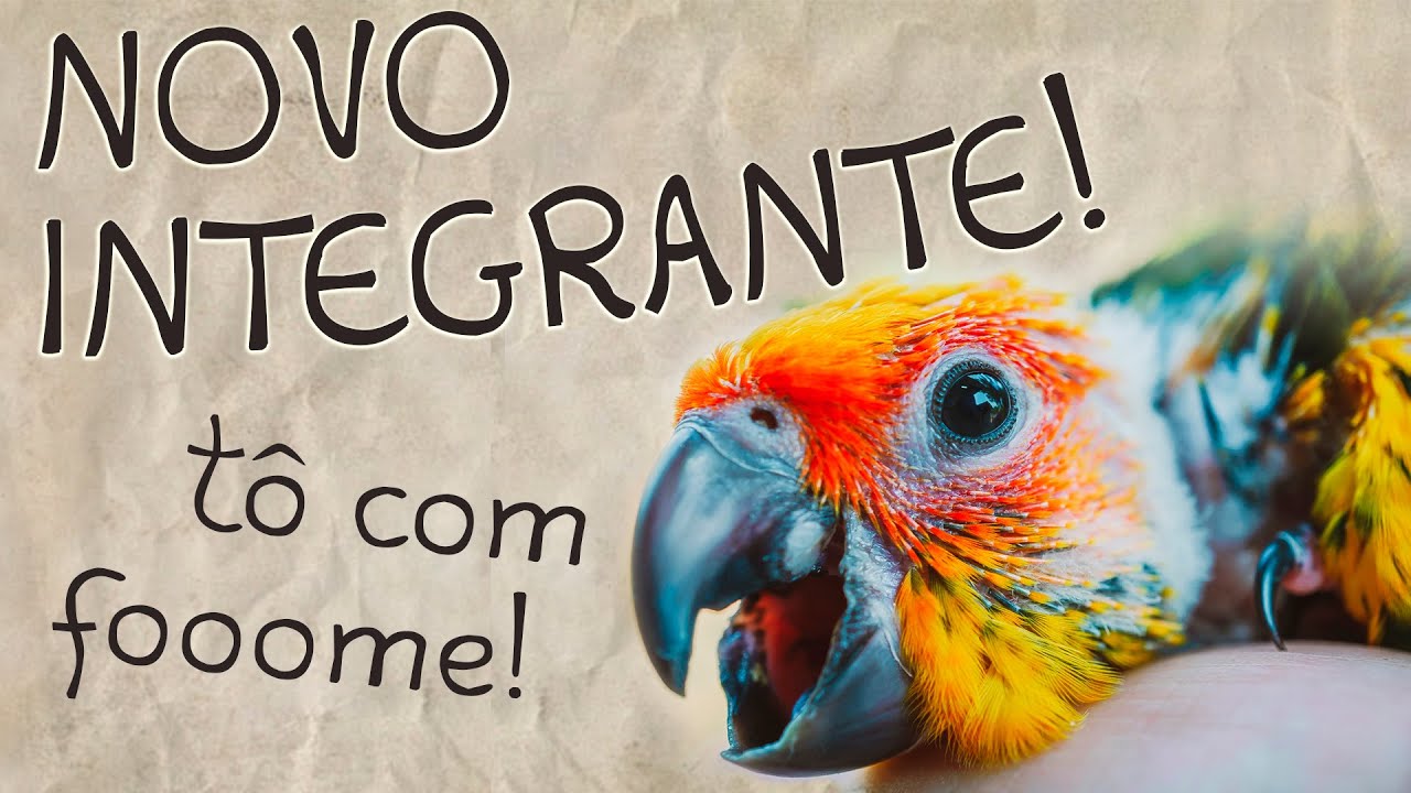 Um Novo Integrante!
