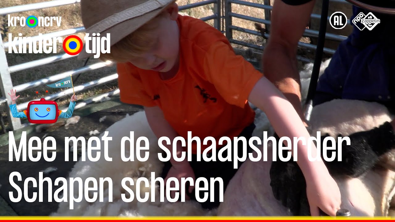 Scheren | Mee met de schaapsherder | Kindertijd KRO-NCRV