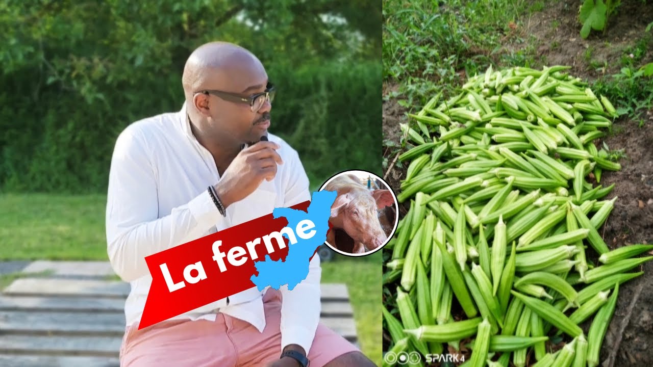 Projet de Ferme : Pisciculture, Arboriculture et Cultures Diverses - Vers la Vraie Liberté