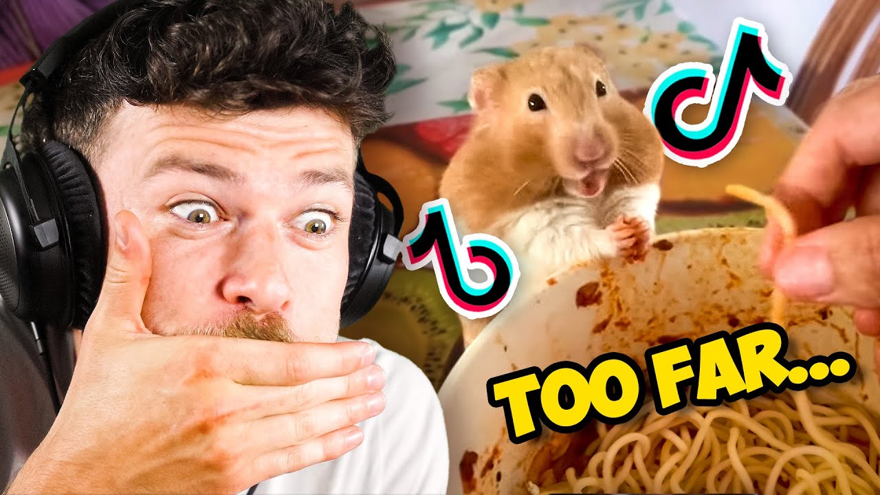 Tiktok Pets Are Insane...