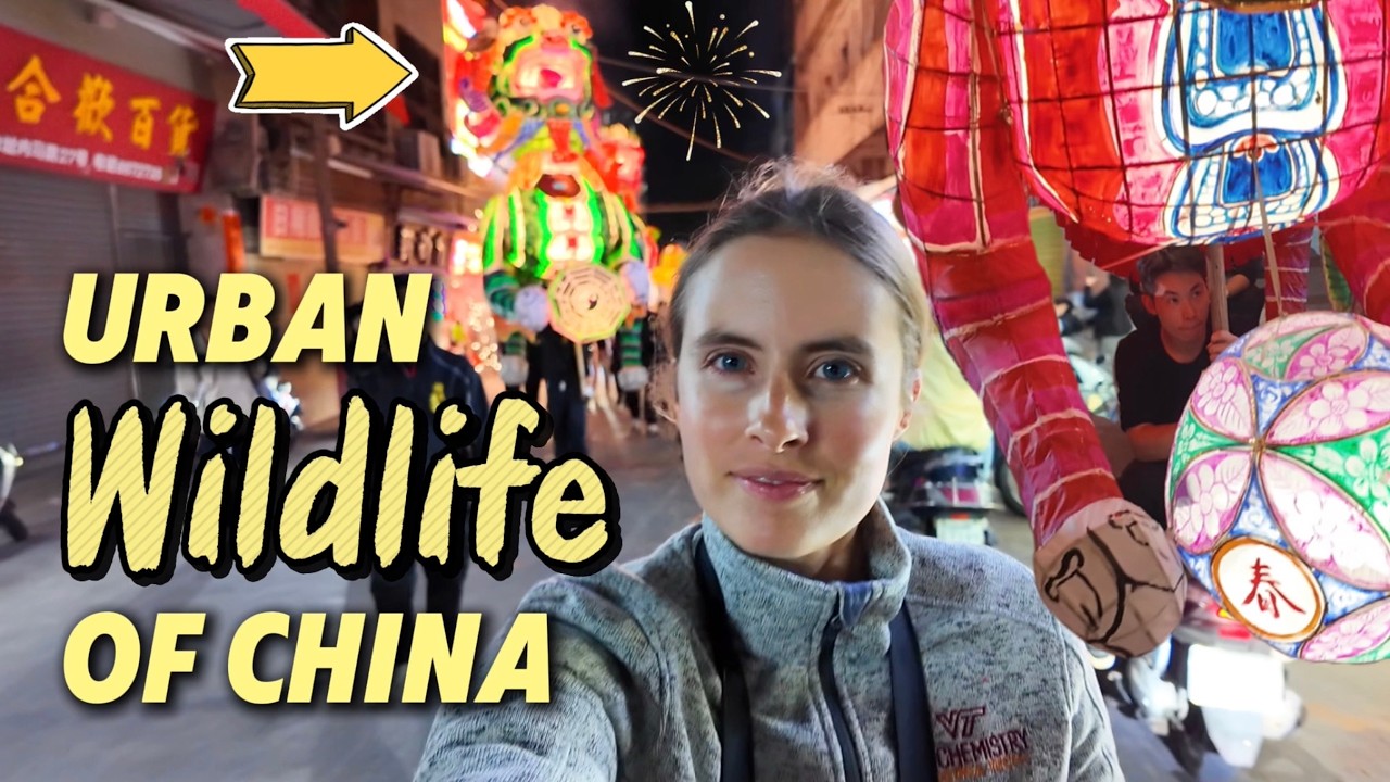 Giant mythical creatures vs. traffic... Just another day in China!