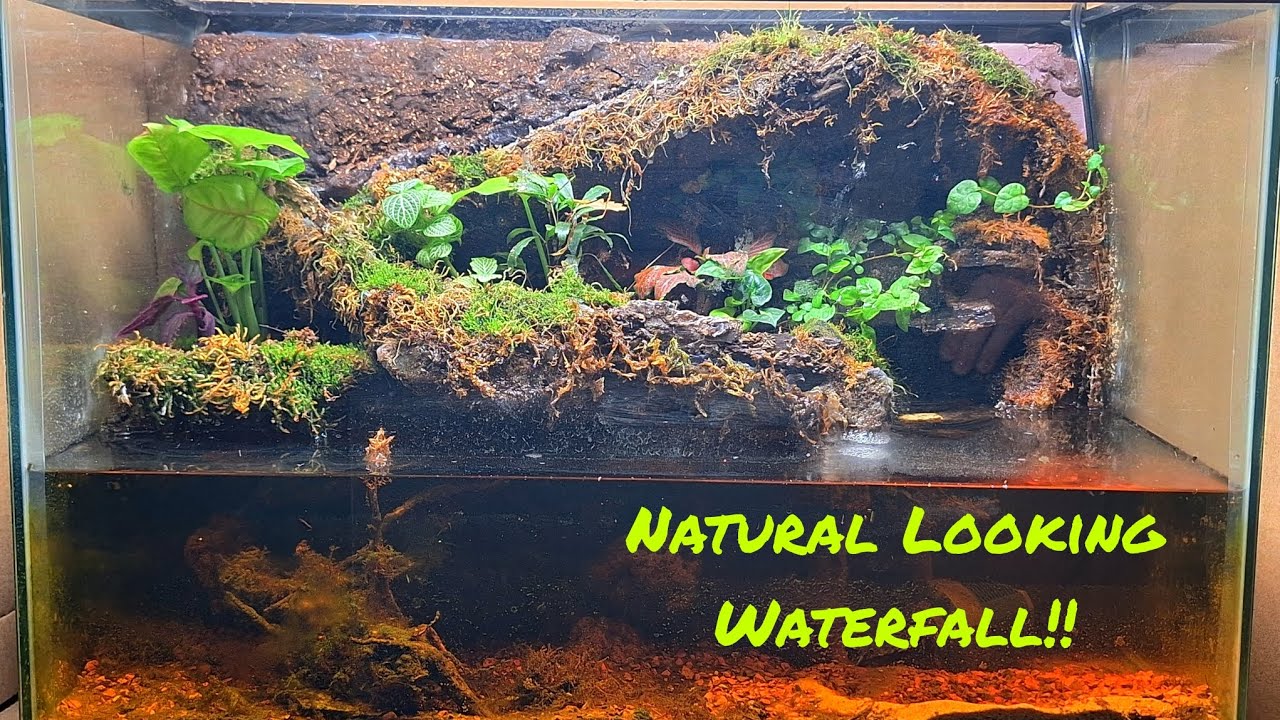 This Waterfall Paludarium Took 7 Months To Build!  (speed build/ time lapse)