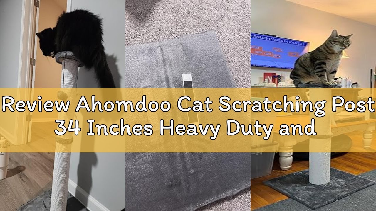 Review Ahomdoo Cat Scratching Post 34 Inches Heavy Duty and Thicker Cat Scratching Post Cotton Rope