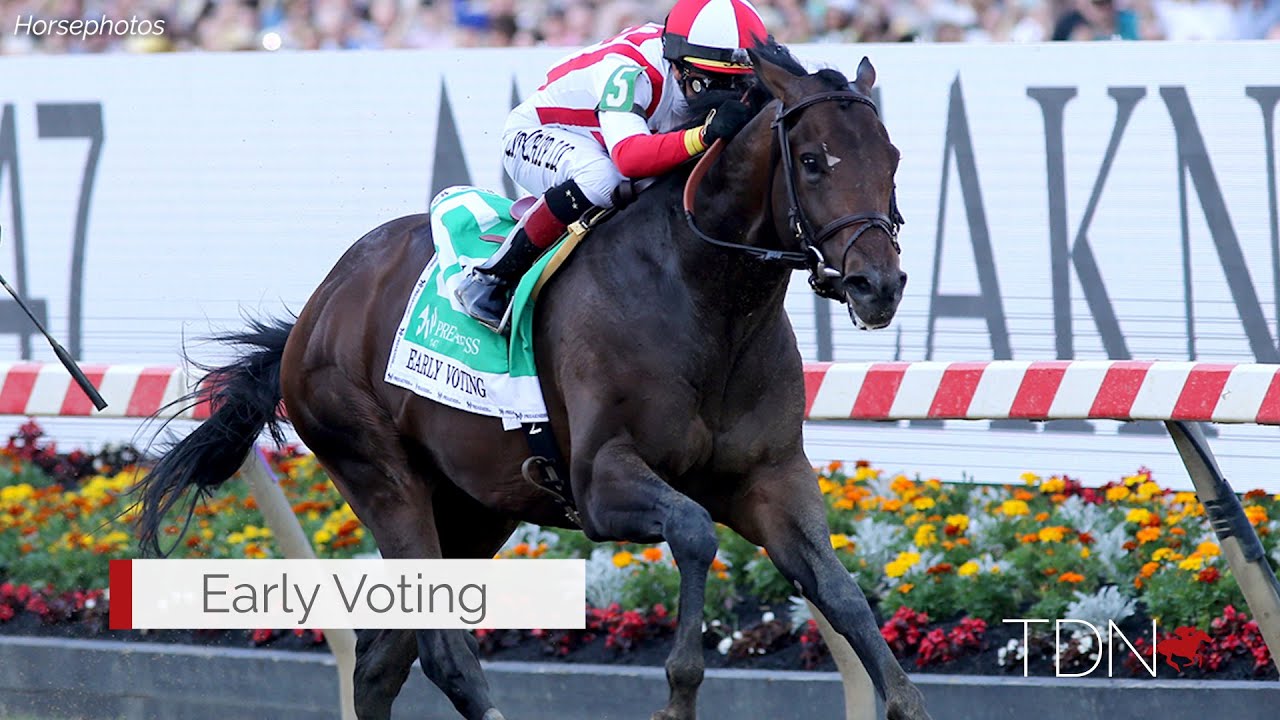 Preakness Winner Early Voting Reflects Ongoing Success at Three Chimneys