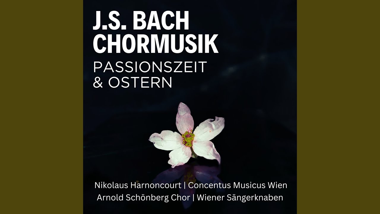 St Matthew Passion, BWV 244, Pt. 1: No. 29, O Mensch, bewein' dein Sünde gross (Chorus)