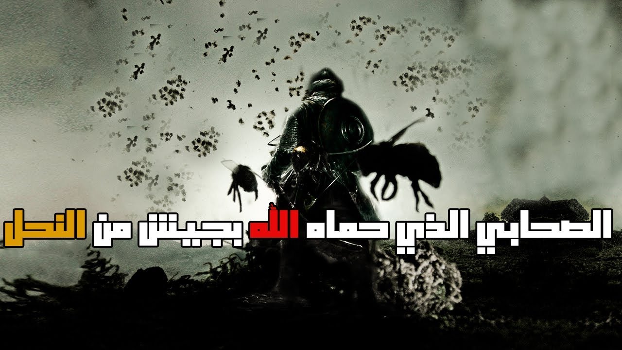 الصحابي الذي حماه الله بجيش من النحل | قصص من التاريخ الإسلامي