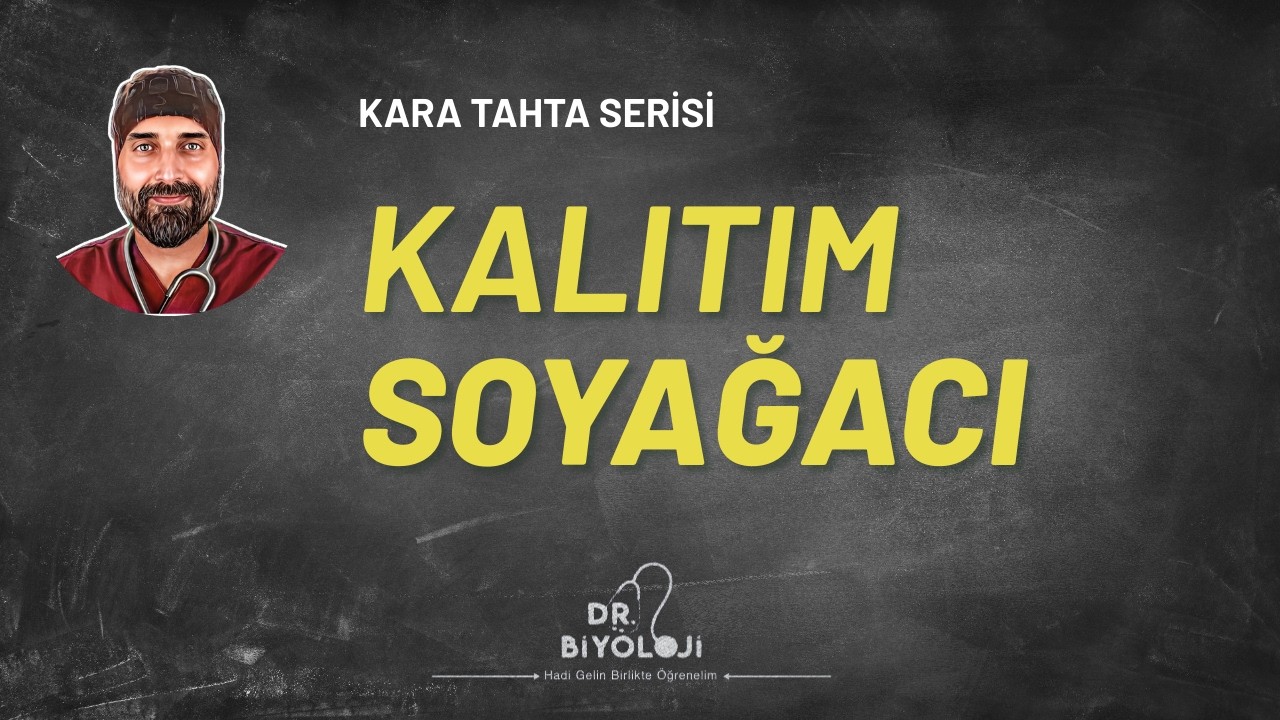Kalıtım Soyağacı | Kara Tahta Serisi | Dr. Biyoloji