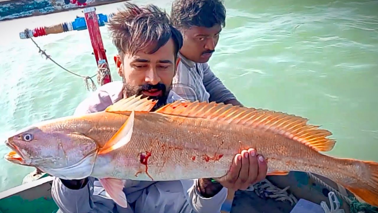 Big Strike In Mangroves Fishing From Rehri Goth To Pittiani Mall| Bottom Fishing 2024