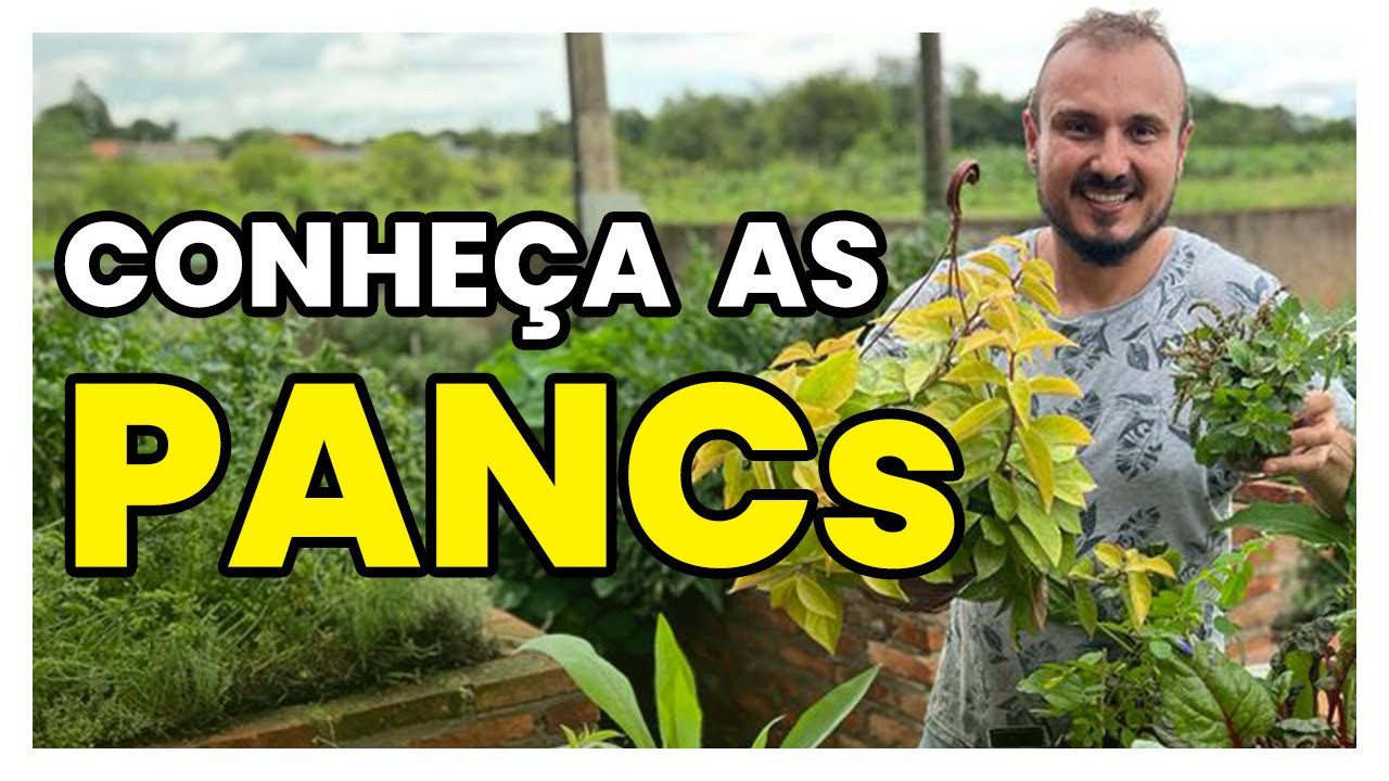 Planta de comer? Conheça as PANCs e aprenda como cultivar