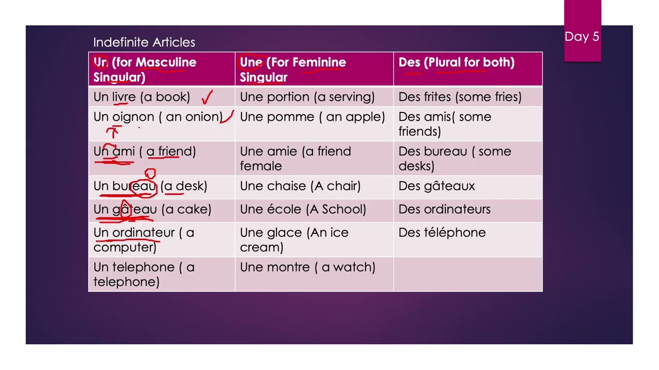 Indefinite Articles (French)