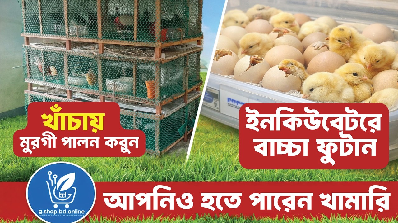 খাঁচায় মুরগী পালন।-আপনিও হতে পারেন খামারি। জি শপ বিডি #Machine #agriculture #GShopBD 🚀