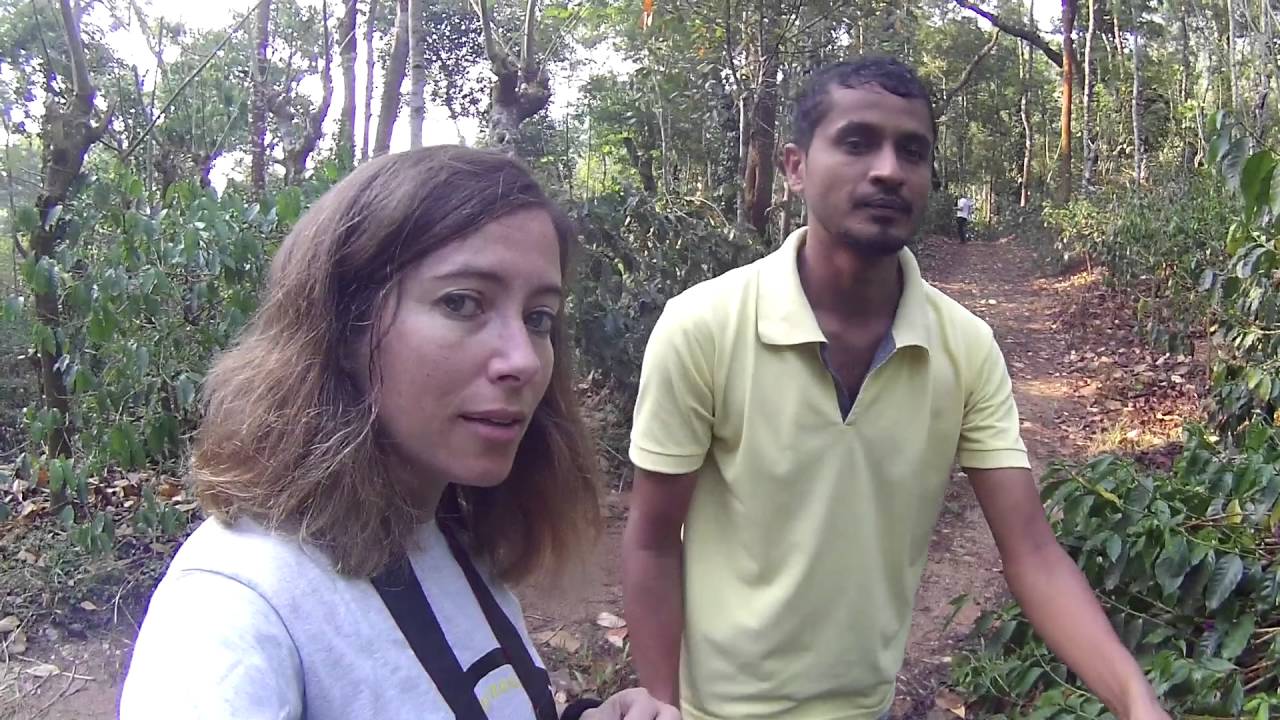 Ruta ecológica por India: café y pimienta