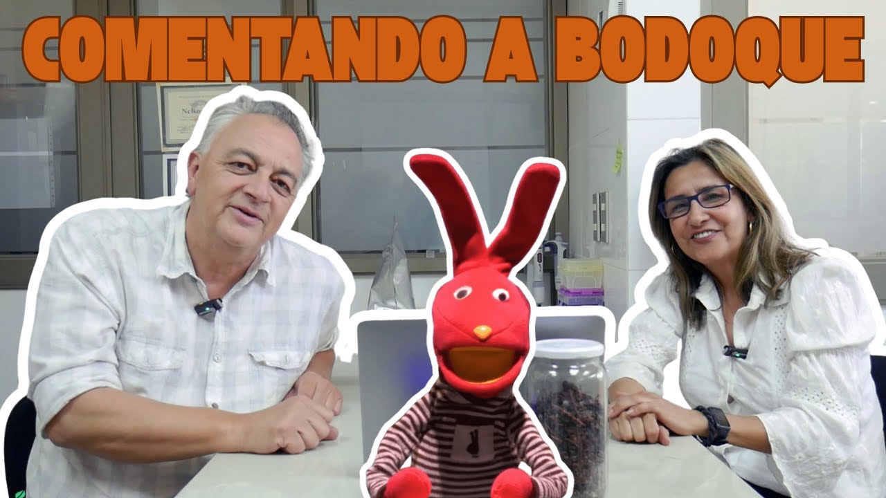 Comentando a Bodoque - Orujo