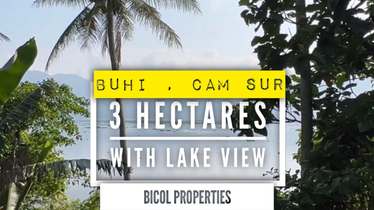 V132-23 • 3 Hectares Farm Lot Beside the Lake | Buhi, Cam. Sur @Nov9TVChannel  @AListingsPh
