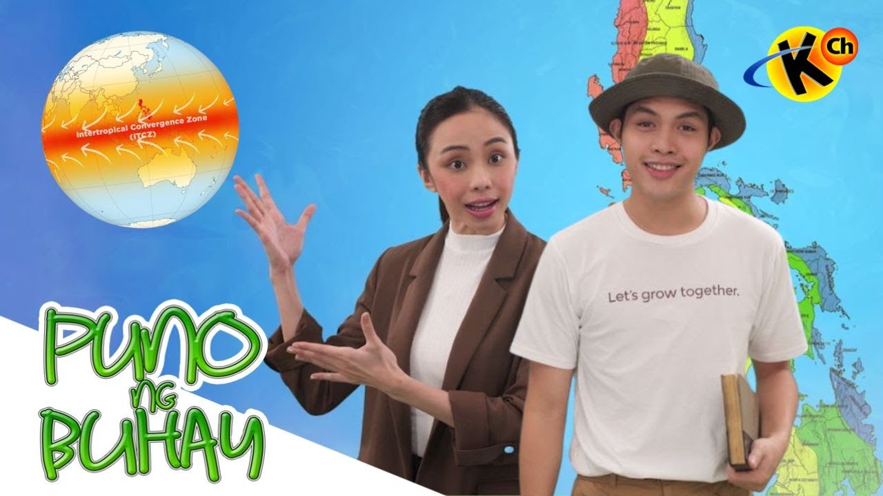 Factors Affecting Climate | Puno ng Buhay