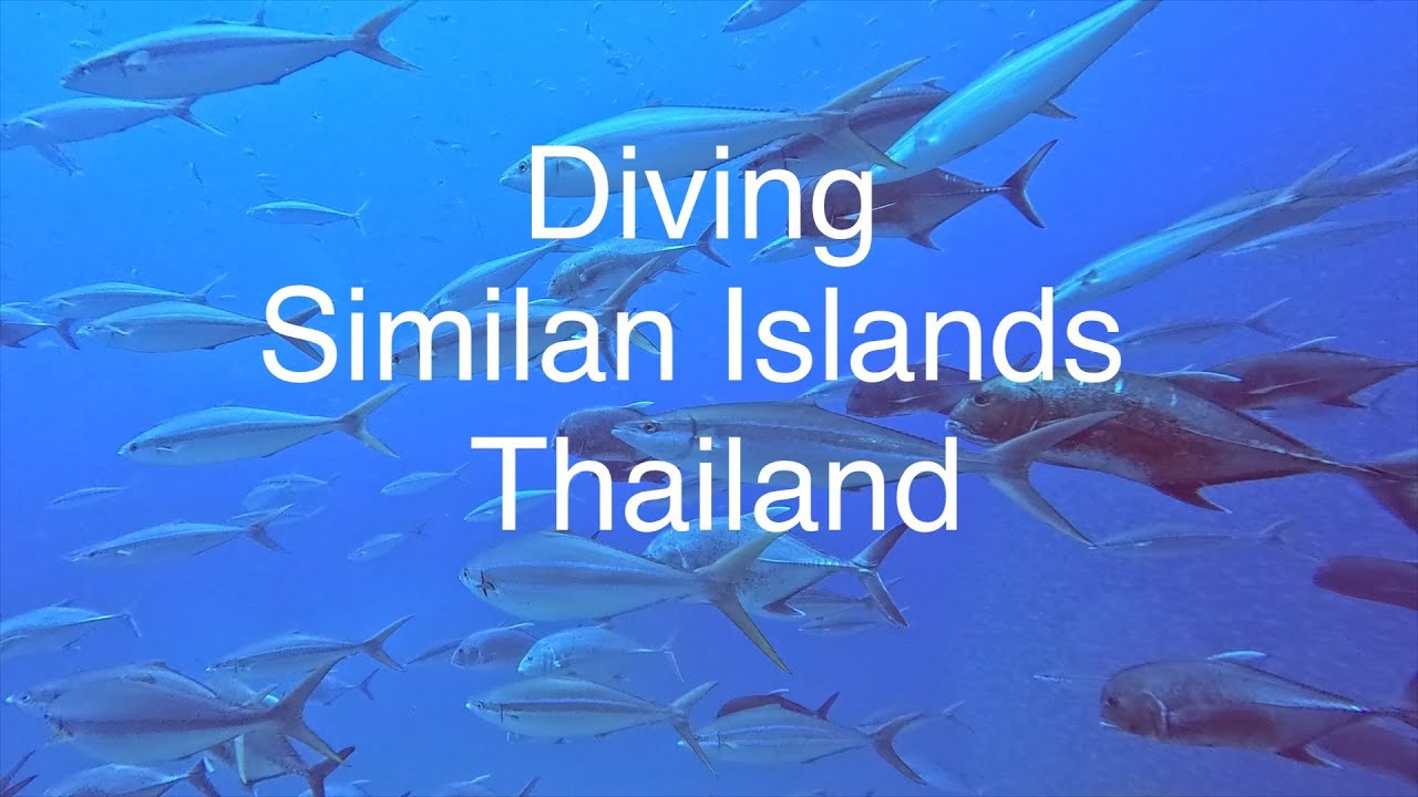 Diving Surin and Similan islands aboard the Smiling Seahorse #thesmilingseahorse #similanislands