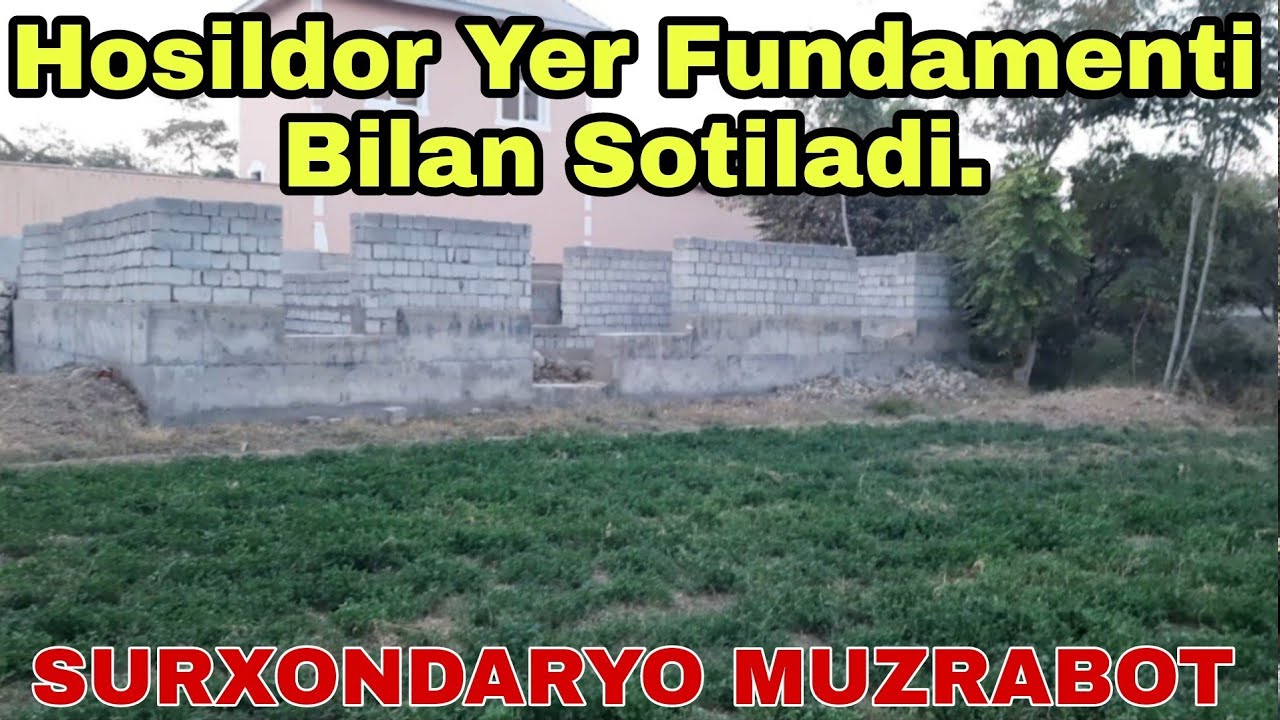 SURXONDARYO MUZRABOT 6 SOTIX YER 4 XONA FUNDAMENTI BILAN SOTILADI