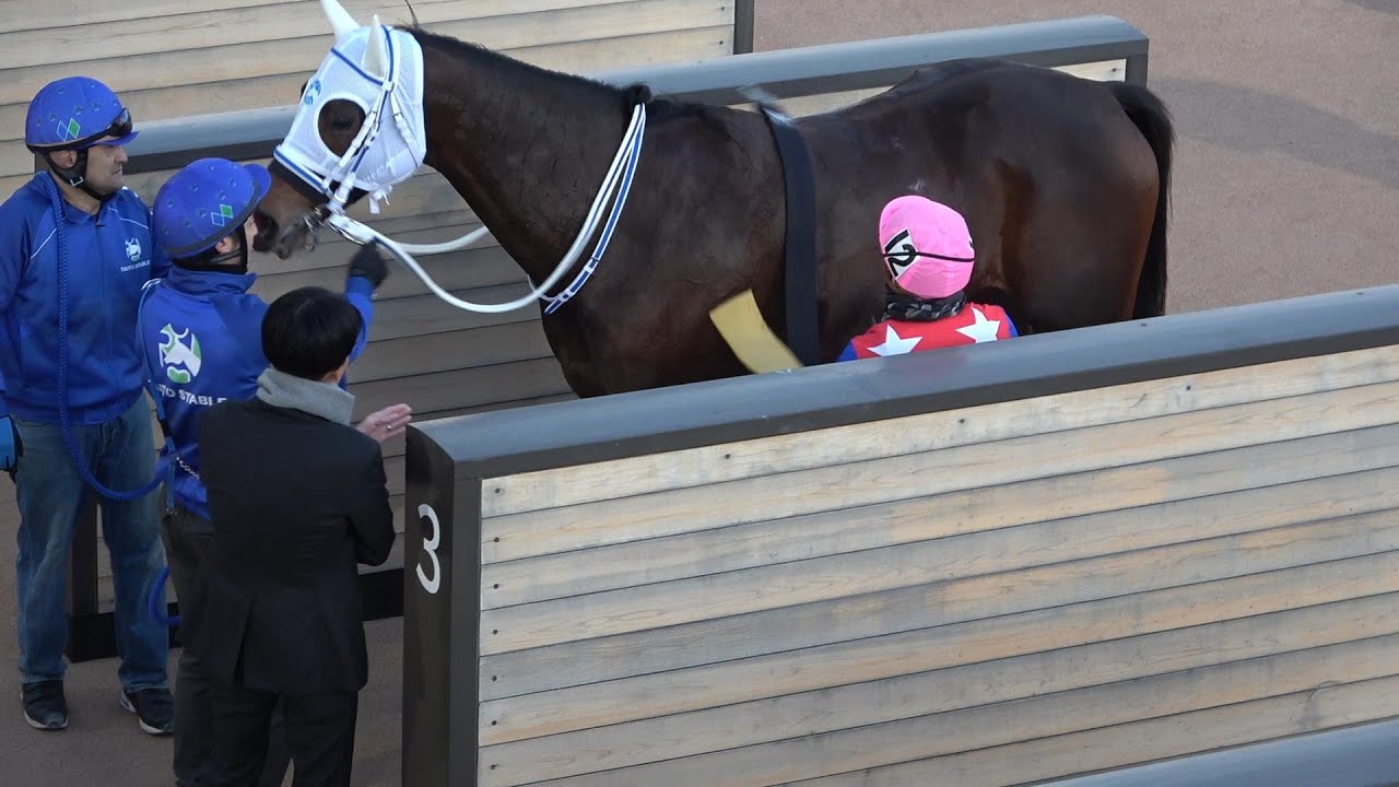 【森泰斗厩舎】2026年1月22日船橋競馬場5Rホウオウジュビリー&御神本訓史騎手2着