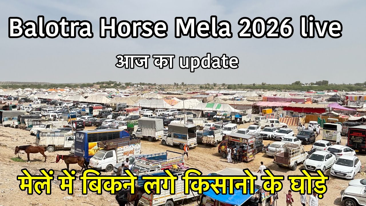 बिकने लगे किसानो के घोड़े क्या है क़ीमत | Balotra Horse Mela 2026 live | Horse Market Balotra
