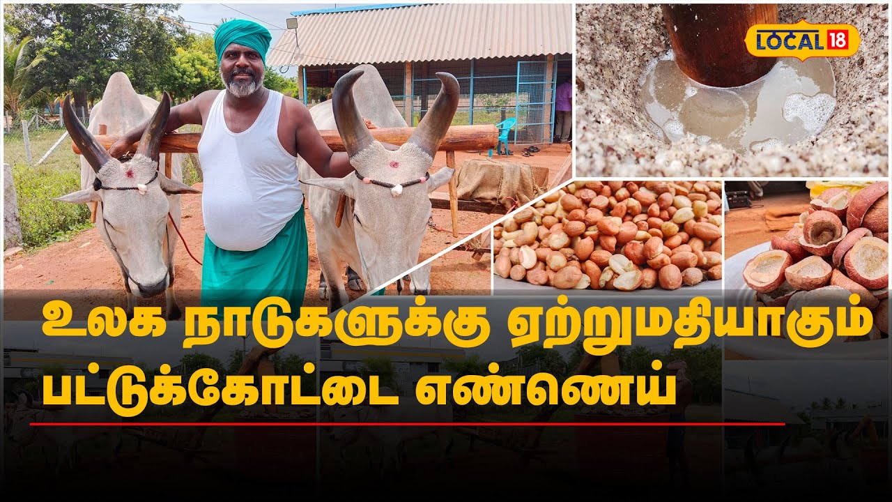 உலக நாடுகளுக்கு ஏற்றுமதியாகும் பட்டுக்கோட்டை எண்ணெய் | #Local18