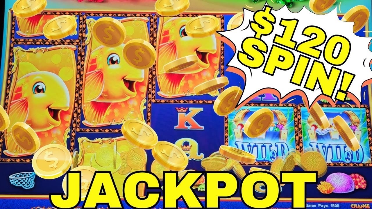 $120 SPIN CAN WE FEED MY WALLET ON GOLD FISH FEEDING TIME