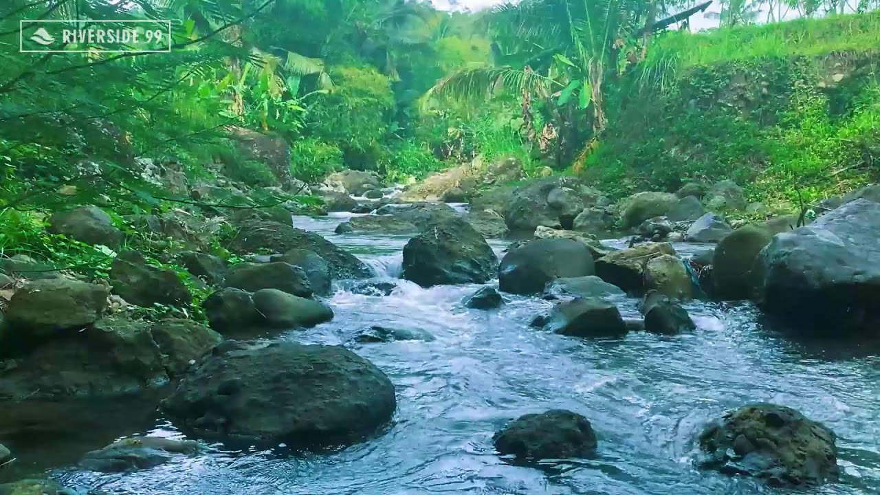 LIVE River Sounds for Sleeping Instantly | Natural Flowing Water for Deep Night Rest