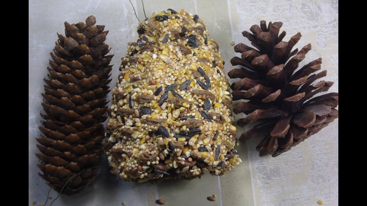 Кормушка для птиц из шишек с арахисовым маслом своими руками, простая детская поделка