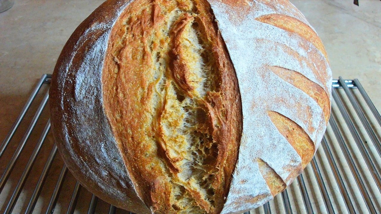Minimalist Sourdough Bread | Slow Fermentation Whole Wheat & AP Loaf