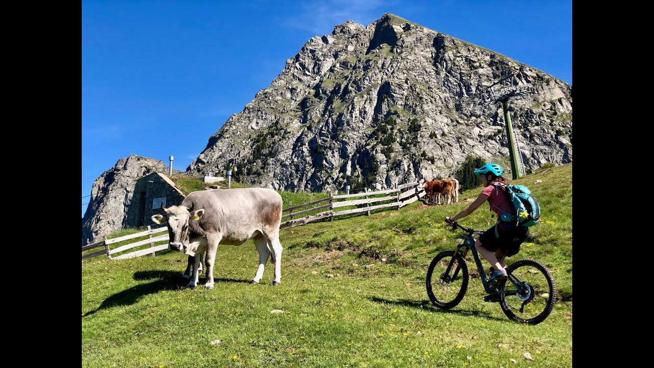 Der Film zur Seiser Alm Tour mit go-alps.de - Reiseveranstalter für Mountainbike, E-MTB, Gravelbike