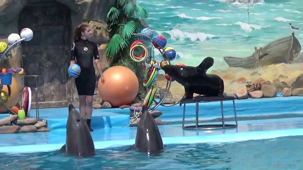 Дельфинарий Немо в Харькове. Dolphinarium Nemo in Kharkov