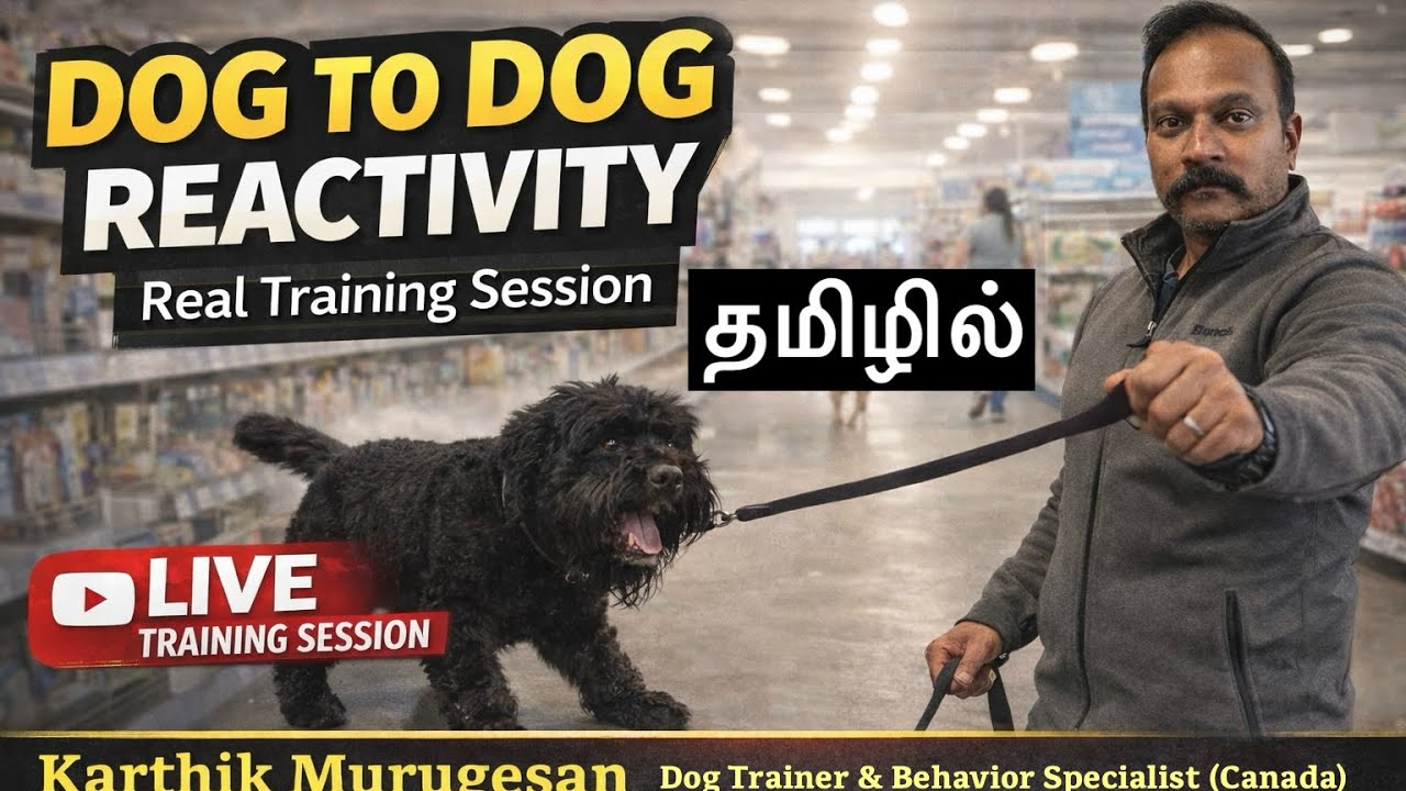 Your Dog aggressive to Other Dogs ? Do this | Real Training Session | Tamil